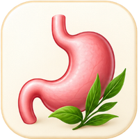 Digestive Wellness